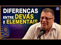 Quais as diferenas entre devas e elementais wagner borges