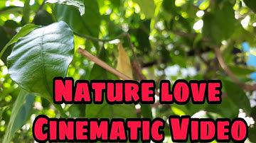 NATURE LOVE|| CINEMATIC VIDEO SHOOT WITH MOBILE || ||SAMSUNG A51 || PLEASE LIKE SHARE AND SUBSCRIBE