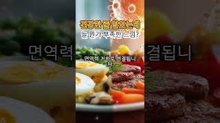 비타민 B·C·D 부족이 장 건강을 무너뜨린다? 과학으로 증명된 경고!