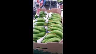 Hand Held Labeller For Banana Dp25 Digrapack