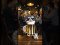 ビールを注ぐ音と飲む音が気持ちいい癒しのASMR ミニチュアシュナウザーが注ぐビールを一緒に飲みませんか Asmr Asmrsounds Asmrvideo Satisfying ビールを注ぐ音と飲む音が気持ちいい癒しのASMR ミニチュアシュナウザーが注ぐビールを一緒に飲みませんか Asmr Asmrsounds Asmrvideo Satisfying