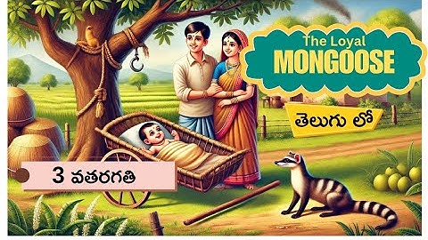 the loyal mongoose 3rd class english lesson in telugu