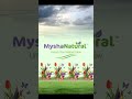 New Logo Lounch                            🌱Mysha Natural🌱