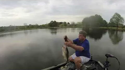 9lb 3oz & 7lb 13oz Bass on a Frog