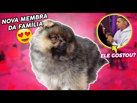 AGORA SOU ME DE PET!