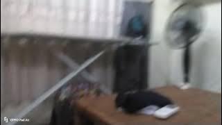 Download lagu Lollipop - Caramella Girls