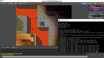 [4] Original OTClient walking