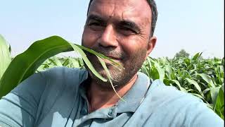 31 May 2026 पशुपालन के साथ खेती-बाड़ी 