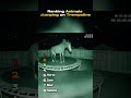 Ranking animals jumping on trampoline