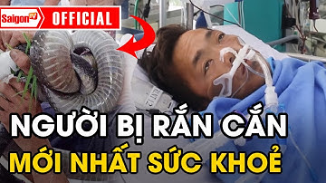 Sức khỏe người đàn ông bị RẮN ĐỘC cắn ở Tây Ninh Mới Nhất 26/08