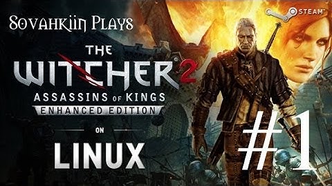 Sovahkiin Plays on LInux: Witcher 2 - Episode 1