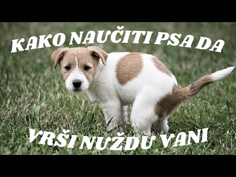 Video: Kako Dresirati štene Za Odlazak Na Toalet Vani