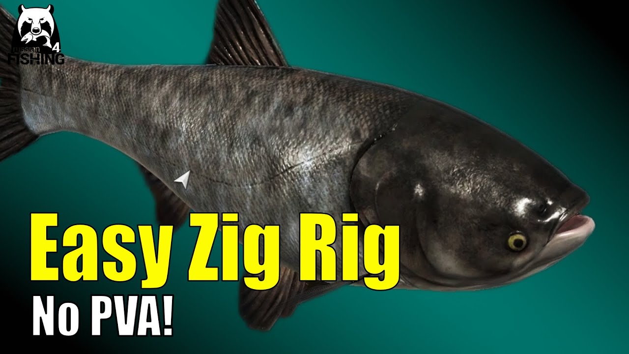 Russian Fishing 4 - Achtuba - Ganz einfach das Zig Rig im Test! Selbst Stör geht auf Zig ... 