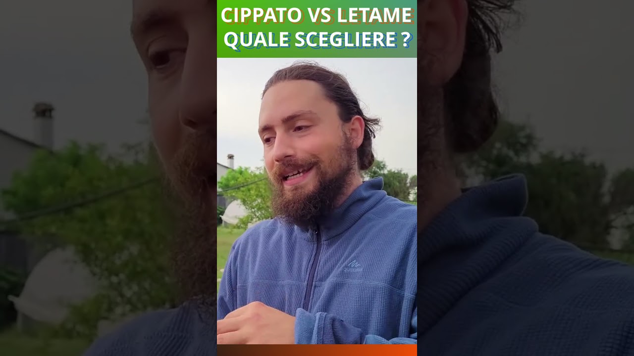 IL TRUCCO DEL CIPPATO per MIGLIORARE SUOLO ARGILLOSO e TERRENO PESANTE : TUTORIAL PER ORTO EVOLUTIVO