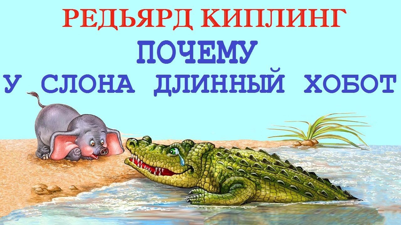 Почему у слона длинный