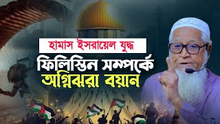 ফিলিস্তিন নিয়ে একি বললেন | আল্লামা লুৎফুর রহমান Maulana Lutfur Rahman New Waz Palestine | Israel