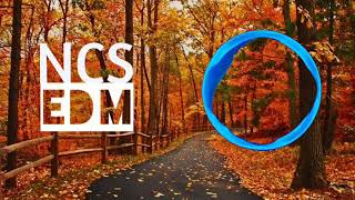 Infinoise  Bring Me Back To Life feat Dnakm ncs Edm Release