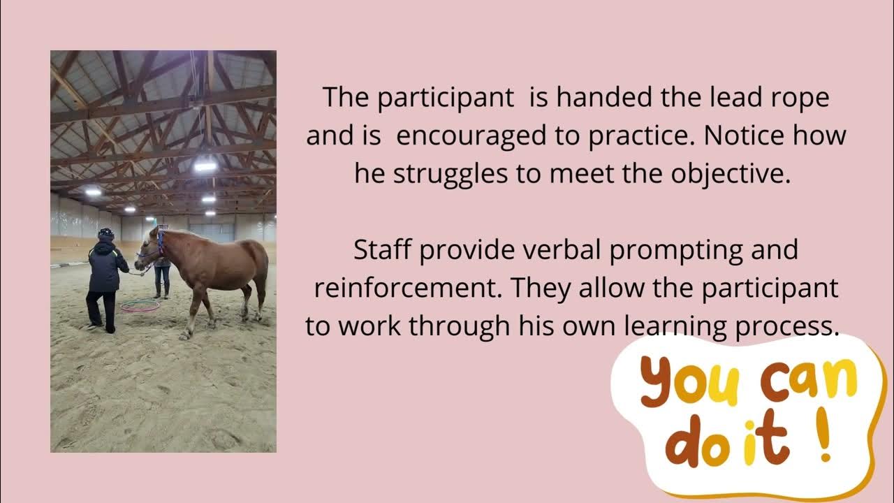 Therapeutic Riding Lesson YouTube