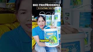 Nấm Đối Kháng Trichoderma Phòng Thối Rễ, Phân Hủy Hữu Cơ Nhanh, Cải Tạo Đất, Kích Hệ Rễ Mạnh.