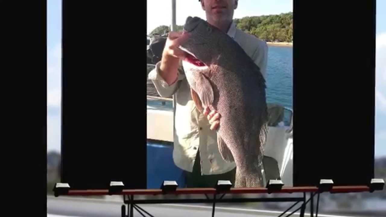 1770 offshore fishing "Hooked on 1770" YouTube