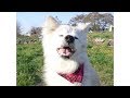 エスのお話