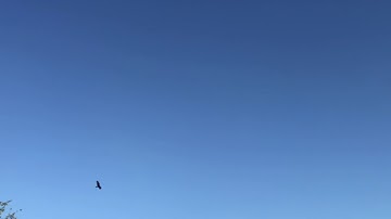 Tricopter running inav RTH and land