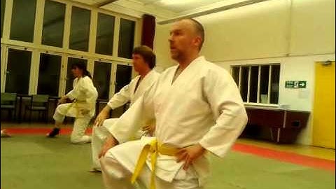 Ukemi kata (rolling breakfall) demo video 2013