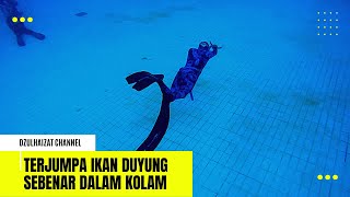 Training Freedive dan Terjumpa Ikan Duyung Yang Sebenar di Pusat Akuatik Darul Ehsan (PADE).