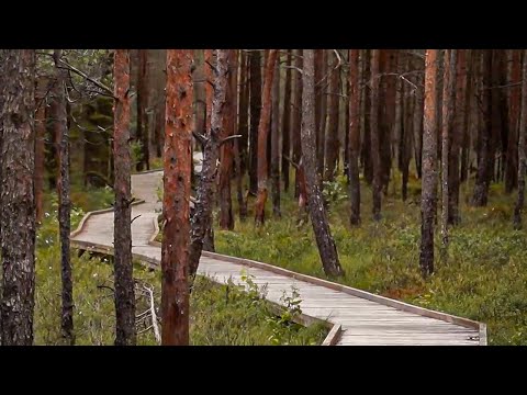 Kamanų mokomasis pažintinis