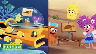 Plaza Sésamo Plaza Sésamo Abby Y Rudy En Una Aventura De Tortugas Videos De Animales