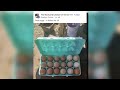 Vernon man helps community through ‘eggflation’