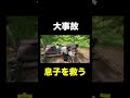 息子の危機を救う父。#shorts #しょうやん男三兄弟 #事故