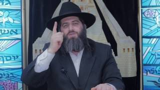 הרב רונן שאולוב - תקציר HD - מי יקום בתחית המתים ועם מה פותחים את הקברים - מעלת הצניעות - עוצמתי