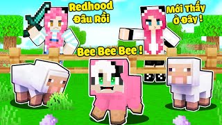 REDHOOD THỬ THÁCH 24GIỜ HACK TRỐN TÌM CÙNG TEAM TRONG MINECRAFT*REDHOOD TROLL MỀU TRỐN TÌM GIẢ BLOCK