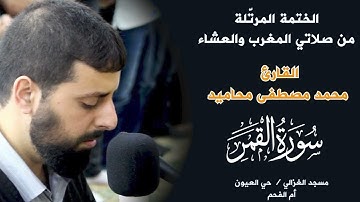 سورة القمر كاملة بصوت الشيخ محمد مصطفى محاميد - تلاوة هادئة وخاشعة 📖