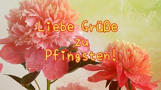 Frohe Pfingsten💐 Ich wünsche Dir ein schönes Pfingstfest🌞 Herzliche Grüße zu Pfingsten💖 Pfingstgrüße
