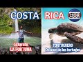 LA FORTUNA Y TORTUGUERO | Costa Rica #08
