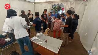 Hindari rabies, ini pertolongan pertama jika digigit anjing