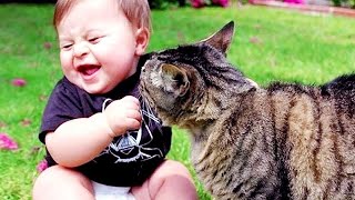 Dogs and Cats Playing with Babies and Kids - Kids and Pets Funny fails