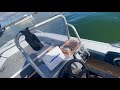 George’s river kingfish