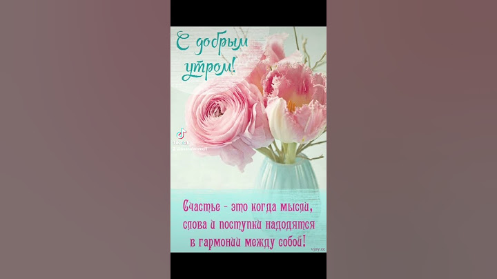 11 августа 2022 г.