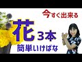 今すぐできる！花3本で簡単いけばな