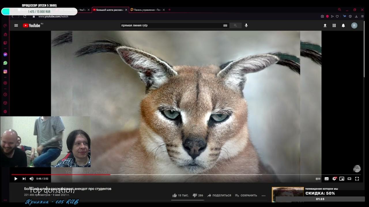 хрюндель выдал залп - YouTube