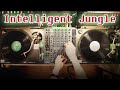 Intelligent Jungle Drum Bass Mix 1993 2003 