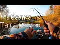 Рыбалка в Татарстане | Братья | Рыбаки | 2022 | Fishing | Fish | Tatarstan