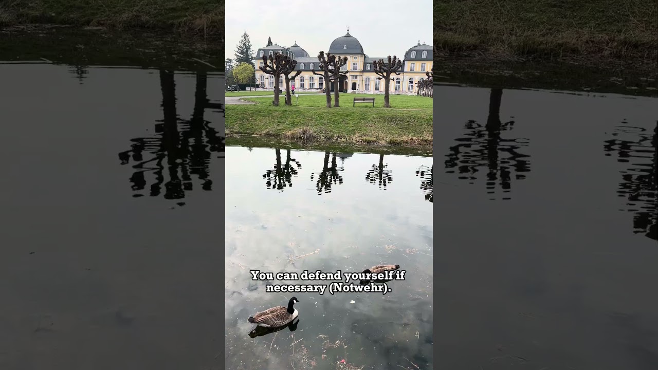 Things that are LEGAL in Germany #fyp #liveandworkingermany