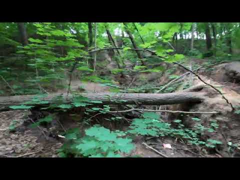Fili park jogging 2025 06 12 GoPro timewarp