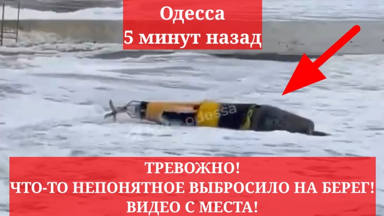 Одесса 5 минут назад. ТРНВОЖНО! ЧТО-ТО НЕПОНЯТНОЕ ВЫБРОСИЛО НА БЕРЕГ ...