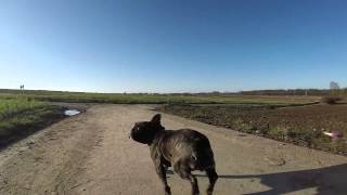 Zhiyun Z1-Evolution Gimbal + GoPro Hero 4 Black test
