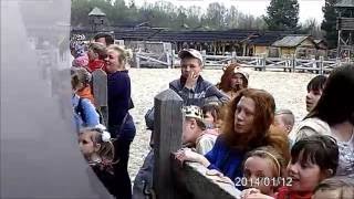 Театральная студия для детей и собак ПЕСИКИ КУДЕСИКИ Театральная студия для детей и собак ПЕСИКИ КУДЕСИКИ